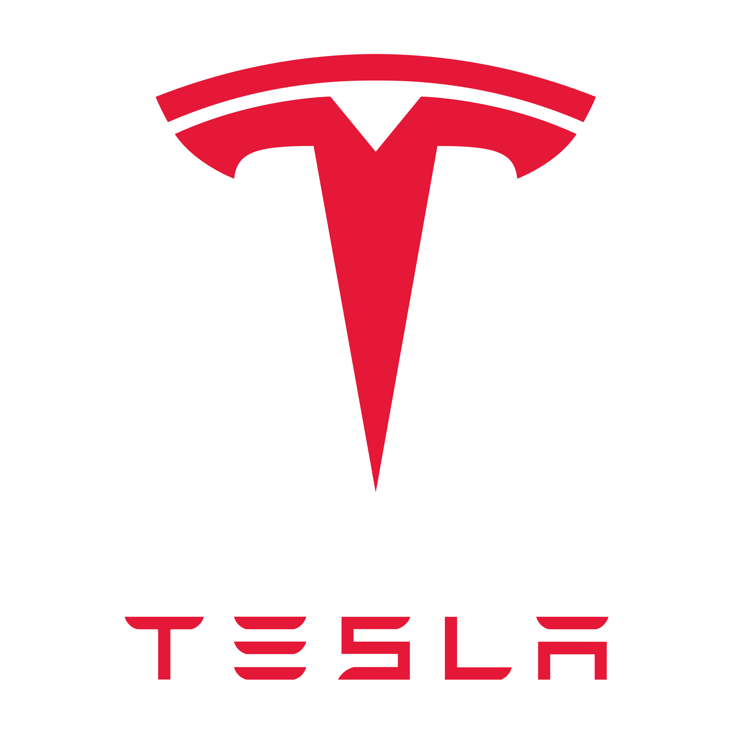 Tesla, Inc. (TSLA)